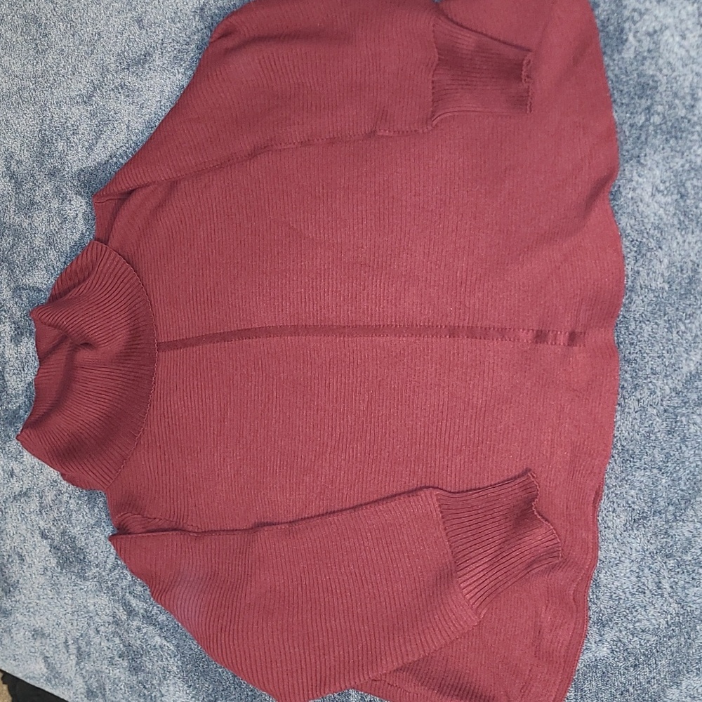 NWT CYRUS Mahogany Turtleneck Sweater